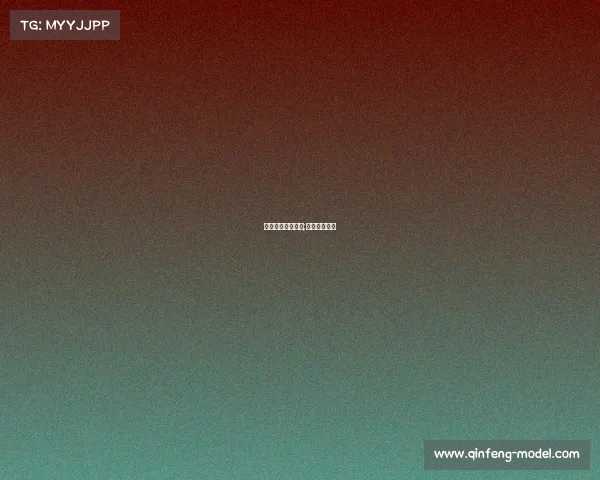 赛事承办服务理念;赛事服务方案